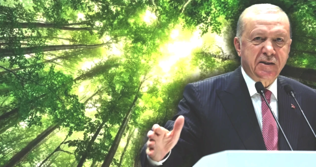 Cumhurbaşkanı Erdoğan'dan Kritik Açıklama! Seferberlik Süreci Başlıyor